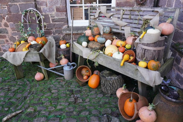 Comment Réussir la Décoration de Votre Évènement Jardin