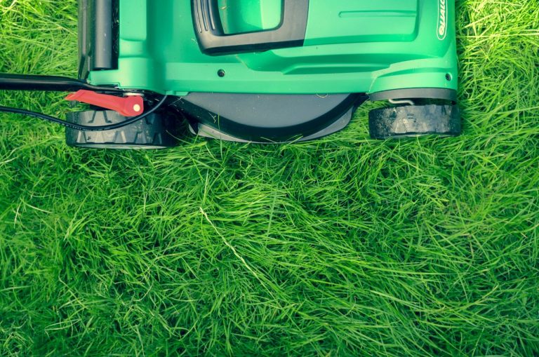 Les Indispensables Pour Entretenir Votre Gazon de 300 m²