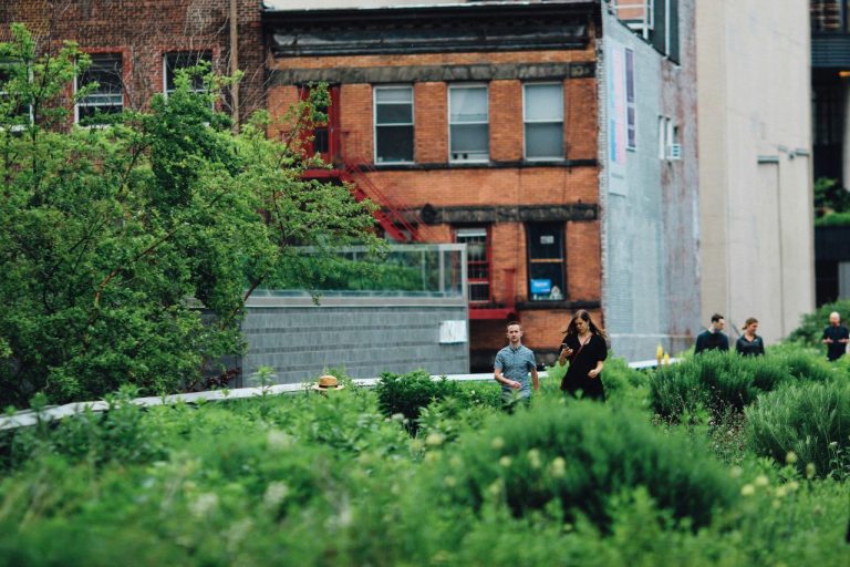 Les Avantages de la Rotation des Cultures en Jardinage Urbain